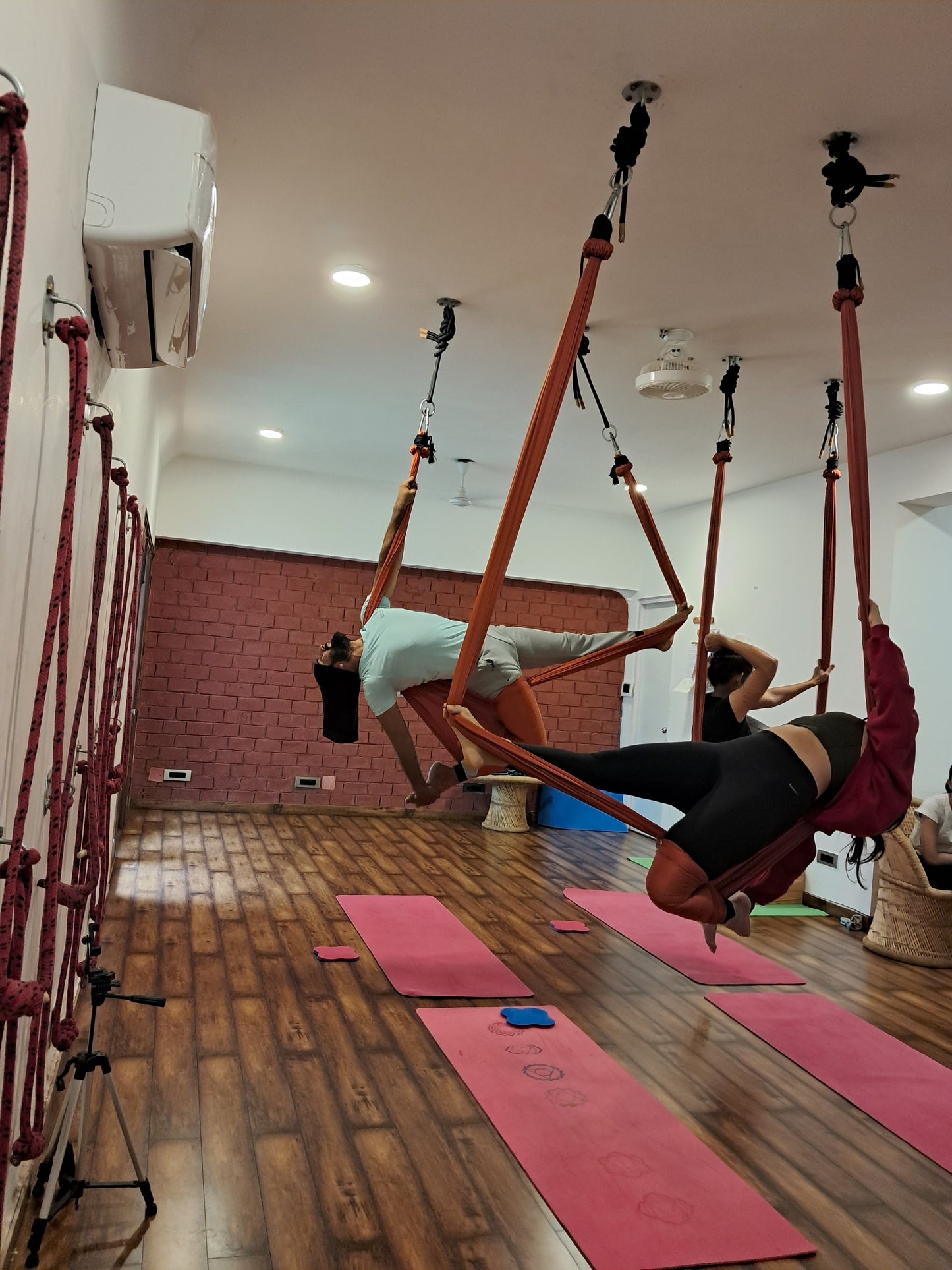 Aerial Asanas