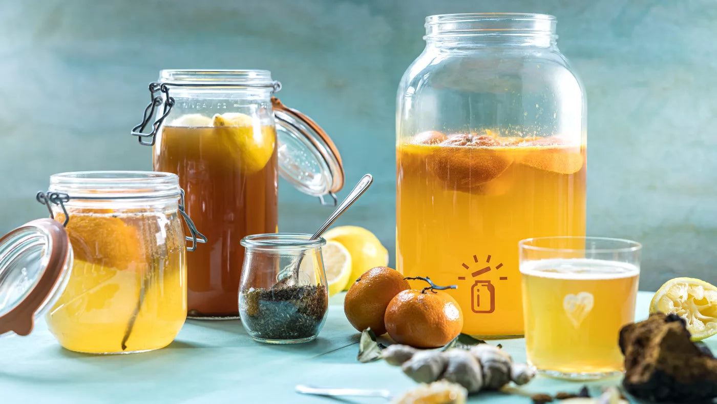 kombucha craft making vivre experiences