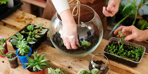 terrairum building workshop vivre experiences